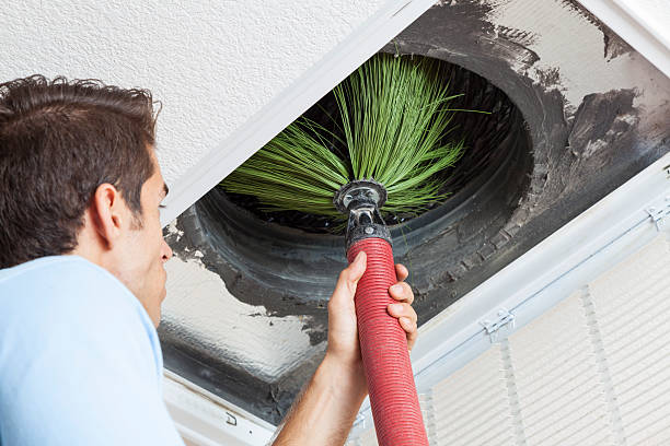 Best Local Air Duct Cleaning Services  in Gold Canyon, AZ