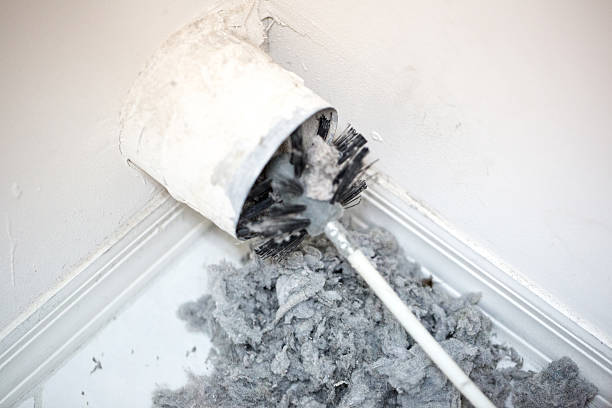 Best Air Vent Cleaning Services  in Gold Canyon, AZ